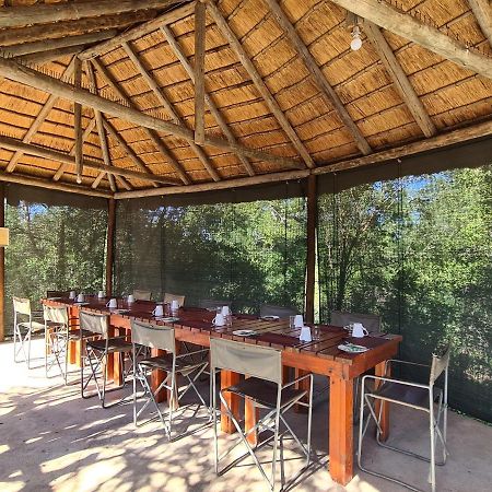 The Wild Olive Tree Camp Welverdiend (Mpumalanga) Exterior foto