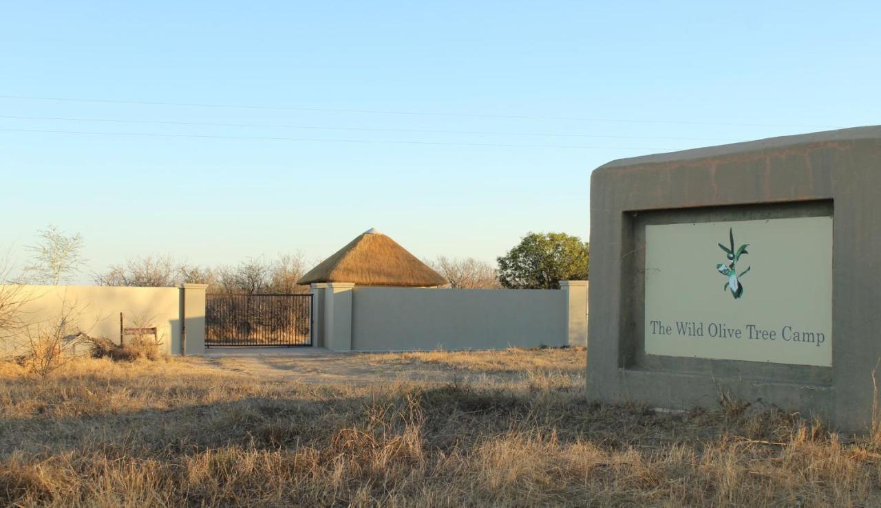 The Wild Olive Tree Camp Welverdiend (Mpumalanga) Exterior foto