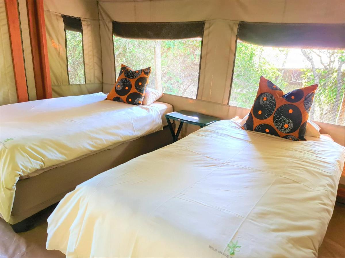 The Wild Olive Tree Camp Welverdiend (Mpumalanga) Exterior foto