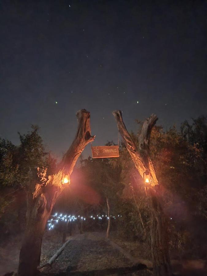The Wild Olive Tree Camp Welverdiend (Mpumalanga) Exterior foto