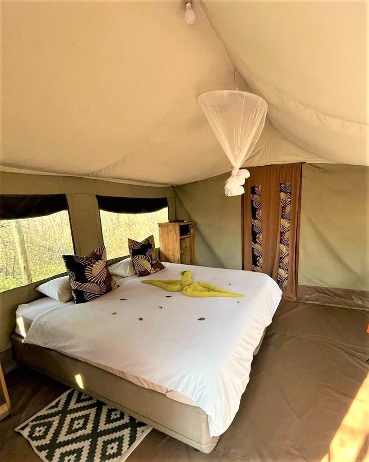 The Wild Olive Tree Camp Welverdiend (Mpumalanga) Exterior foto