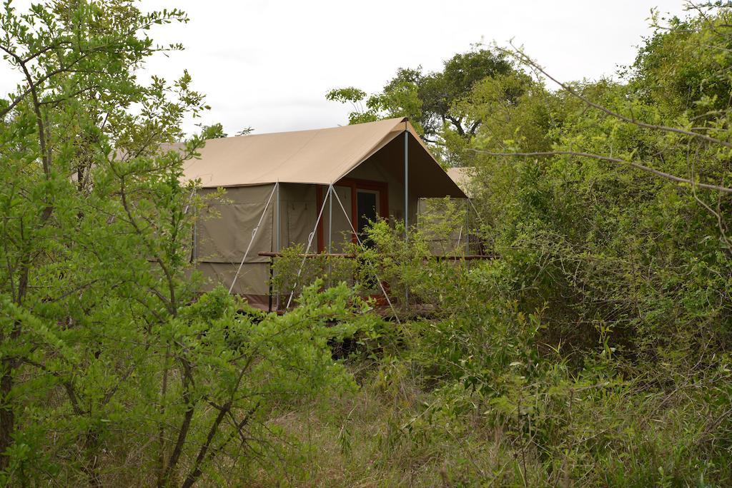 The Wild Olive Tree Camp Welverdiend (Mpumalanga) Exterior foto